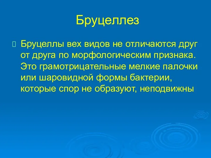 Бруцеллез Бруцеллы вех видов не отличаются друг от друга по