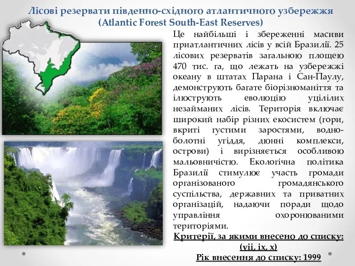 Лісові резервати південно-східного атлантичного узбережжя (Atlantic Forest South-East Reserves) Це