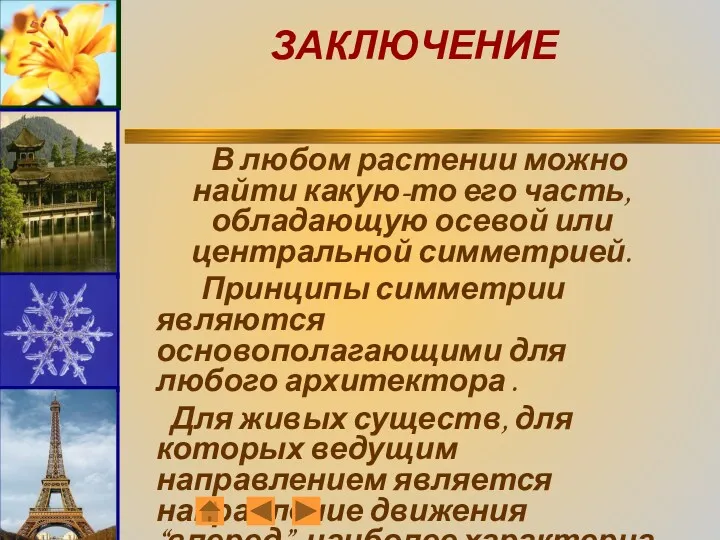 ЗАКЛЮЧЕНИЕ В любом растении можно найти какую-то его часть, обладающую