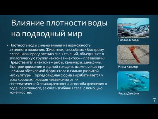 Плотность воды сильно влияет на возможность активного плавания. Животных, способных