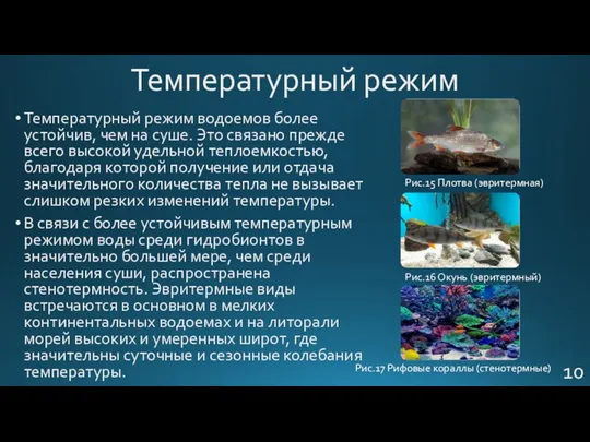 Температурный режим Температурный режим водоемов более устойчив, чем на суше.