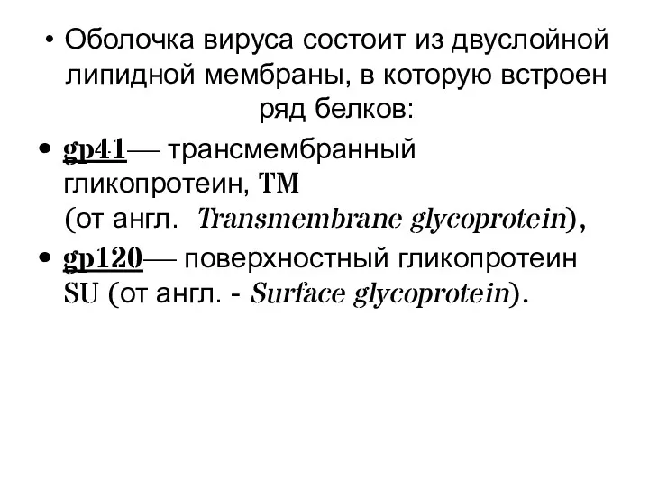 Оболочка вируса состоит из двуслойной липидной мембраны, в которую встроен