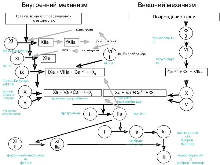 Внутренний механизм Внешний механизм