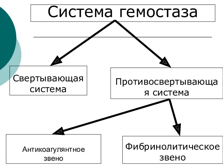 Антикоагулянтное звено Противосвертывающая система Свертывающая система Система гемостаза Фибринолитическое звено