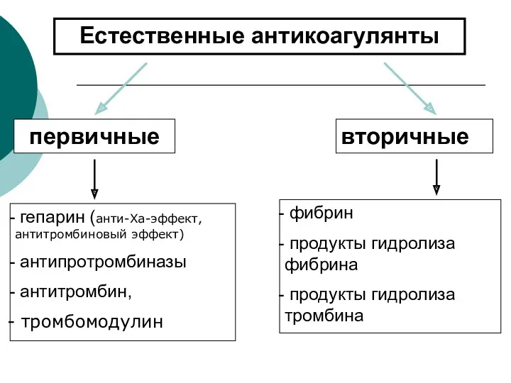 Естественные антикоагулянты первичные вторичные гепарин (анти-Ха-эффект, антитромбиновый эффект) антипротромбиназы антитромбин,