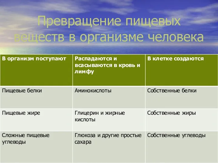 Превращение пищевых веществ в организме человека