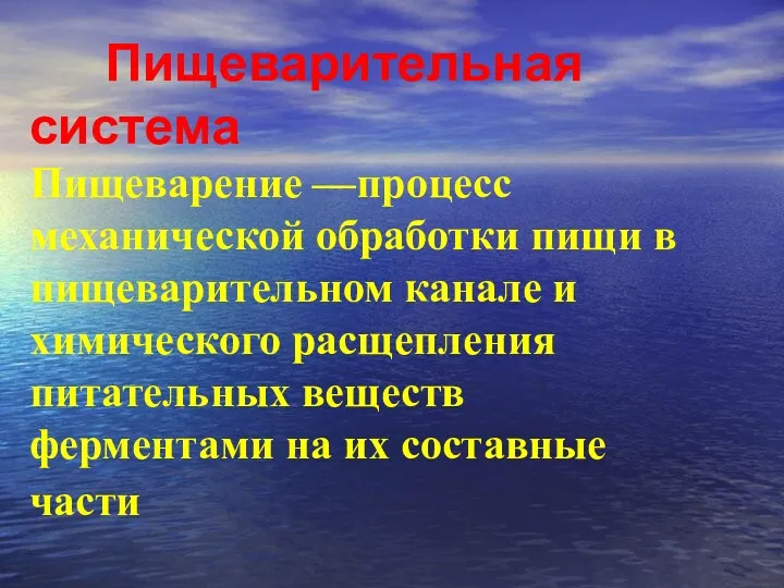 Пищеварительная система Пищеварение —процесс механической обработки пищи в пищеварительном канале