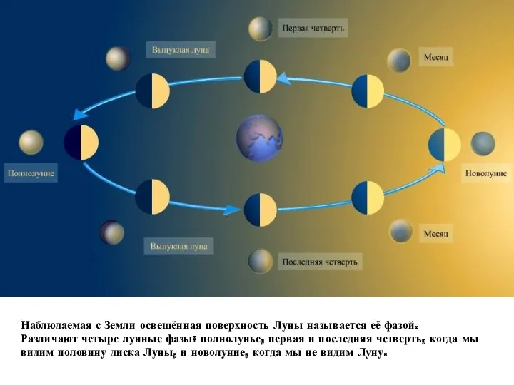 Наблюдаемая с Земли освещённая поверхность Луны называется её фазой. Различают четыре лунные фазы: