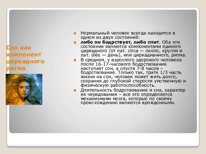 Сон как компонент циркадного ритма Нормальный человек всегда находится в