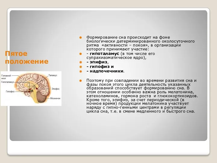 Пятое положение Формирование сна происходит на фоне биологически детерминированного околосуточного