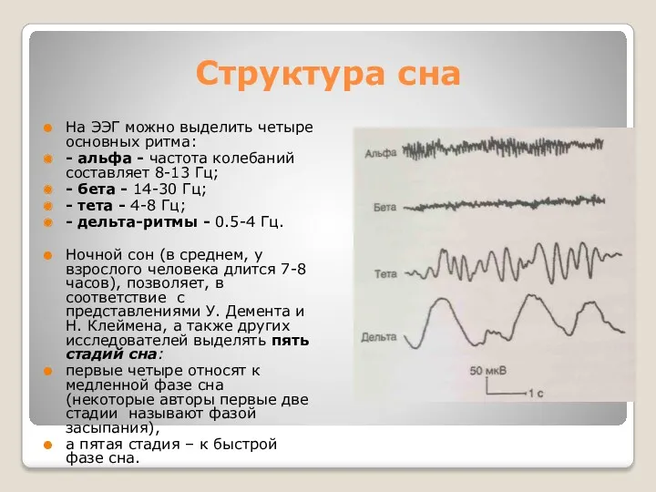 Структура сна На ЭЭГ можно выделить четыре основных ритма: -