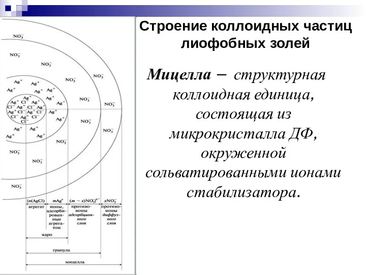 Строение коллоидных частиц лиофобных золей Мицелла – структурная коллоидная единица,