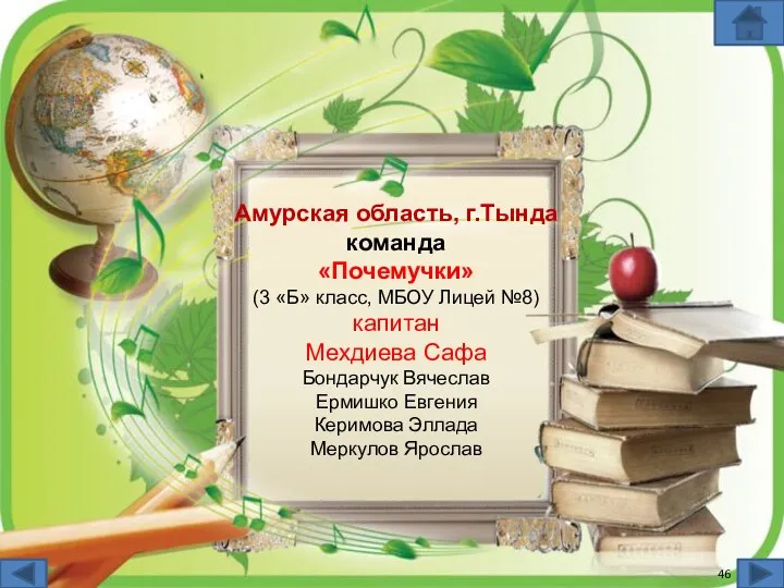 Амурская область, г.Тында команда «Почемучки» (3 «Б» класс, МБОУ Лицей