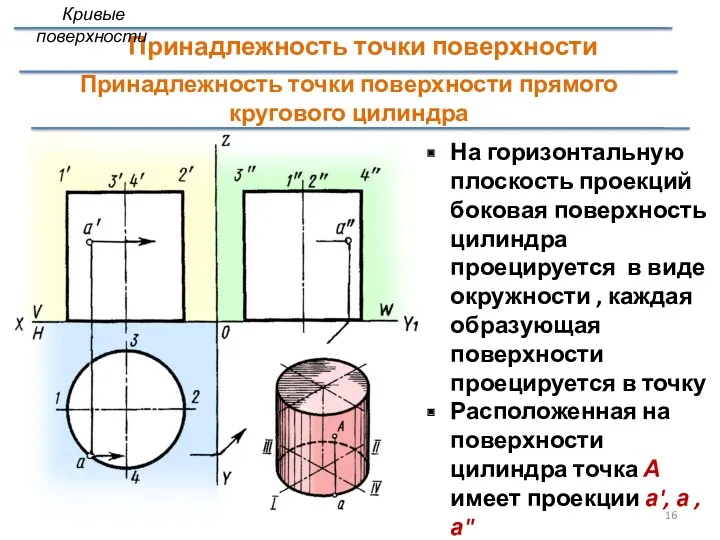 Принадлежность точки поверхности прямого кругового цилиндра На горизонтальную плоскость проекций боковая поверхность цилиндра