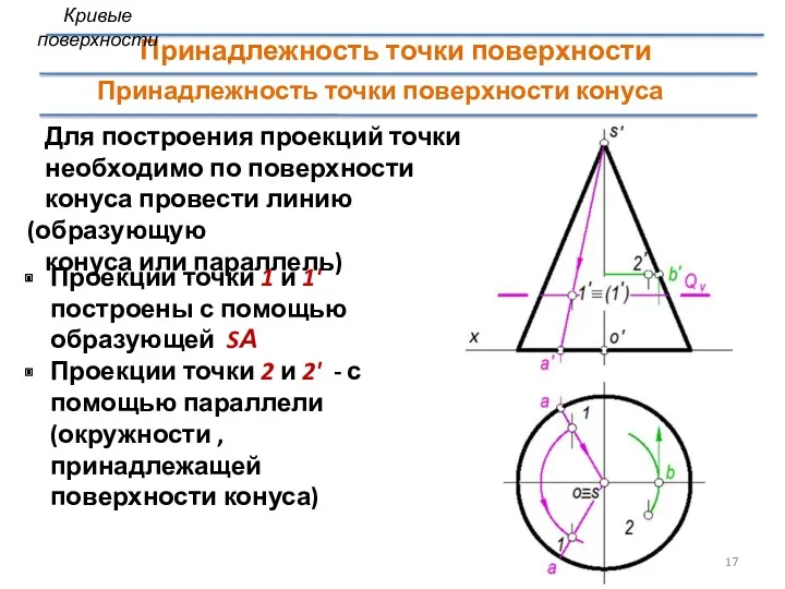 Проекции точки 1 и 1' построены с помощью образующей SА Проекции точки 2