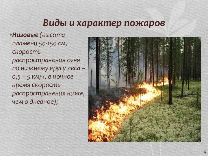 Виды и характер пожаров Низовые (высота пламени 50-150 см, скорость