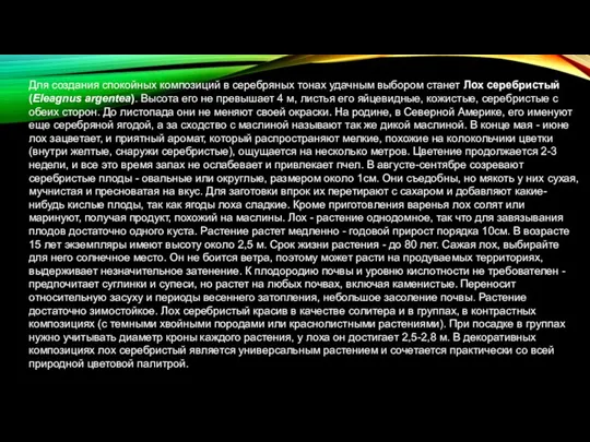 Для создания спокойных композиций в серебряных тонах удачным выбором станет