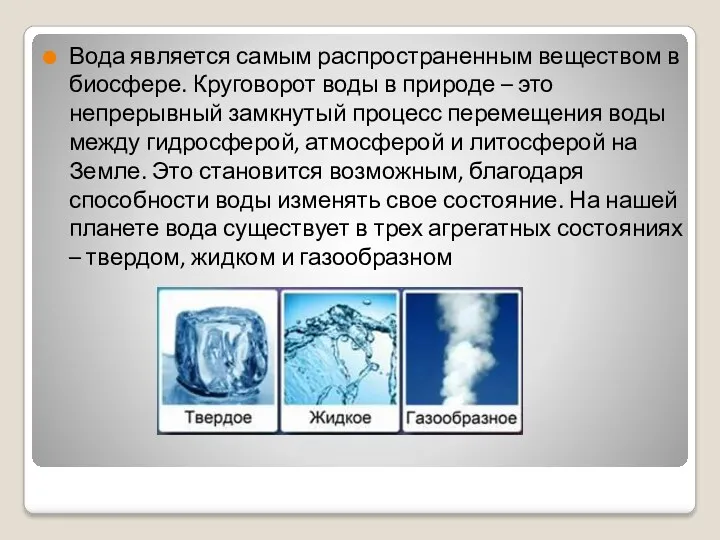 Вода является самым распространенным веществом в биосфере. Круговорот воды в