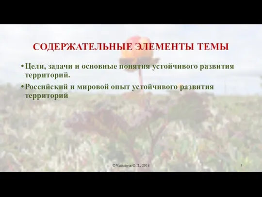 СОДЕРЖАТЕЛЬНЫЕ ЭЛЕМЕНТЫ ТЕМЫ Цели, задачи и основные понятия устойчивого развития