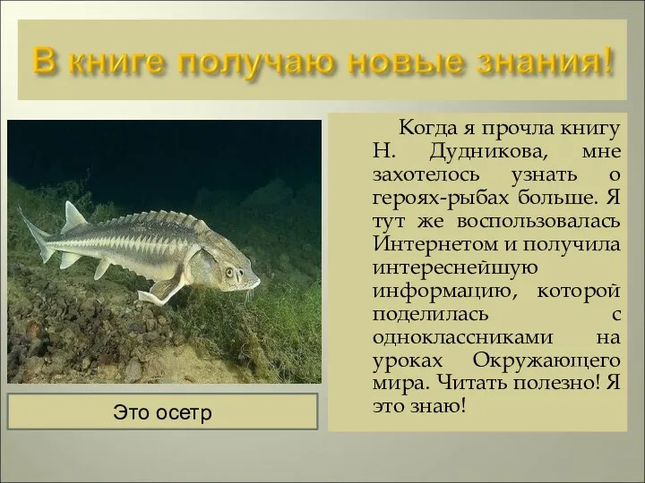 Когда я прочла книгу Н. Дудникова, мне захотелось узнать о героях-рыбах больше. Я