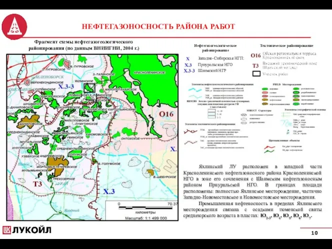 10 НЕФТЕГАЗОНОСНОСТЬ РАЙОНА РАБОТ Фрагмент схемы нефтегазогеологического районирования (по данным