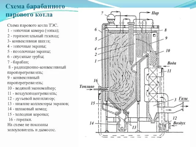 Схема барабанного парового котла Схема парового котла ТЭС. 1 -