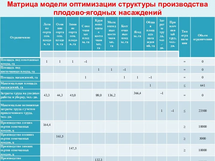 Матрица модели оптимизации структуры производства плодово-ягодных насаждений