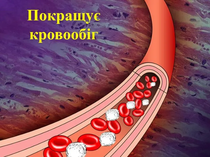 Покращує кровообіг