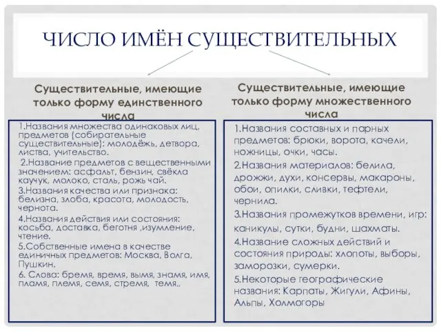 ЧИСЛО ИМЁН СУЩЕСТВИТЕЛЬНЫХ Существительные, имеющие только форму единственного числа 1.Названия