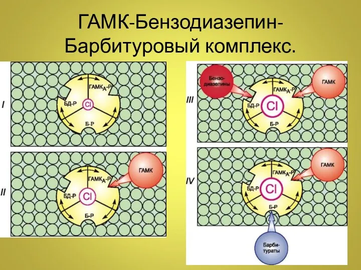 ГАМК-Бензодиазепин-Барбитуровый комплекс.