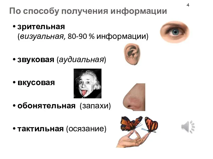 По способу получения информации зрительная (визуальная, 80-90 % информации) звуковая (аудиальная) вкусовая обонятельная (запахи) тактильная (осязание)