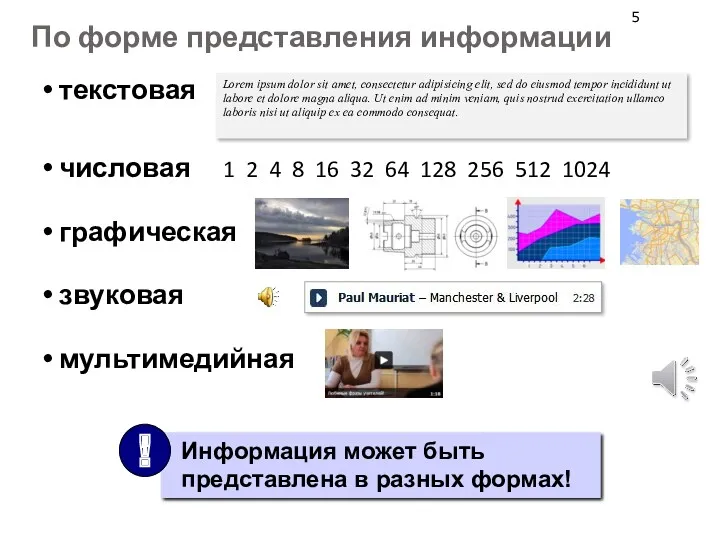 По форме представления информации текстовая числовая 1 2 4 8