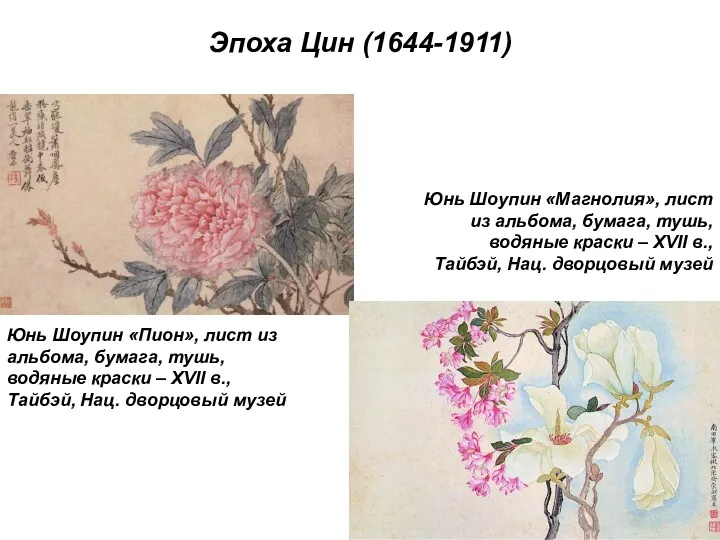 Эпоха Цин (1644-1911) Юнь Шоупин «Пион», лист из альбома, бумага,