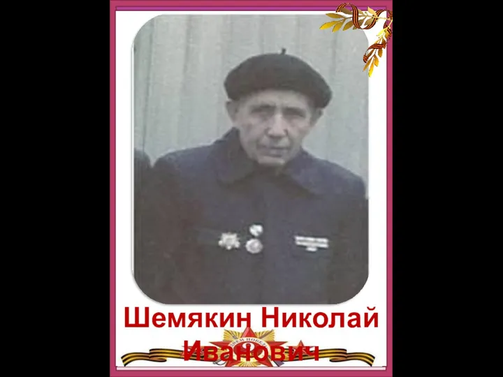 Шемякин Николай Иванович