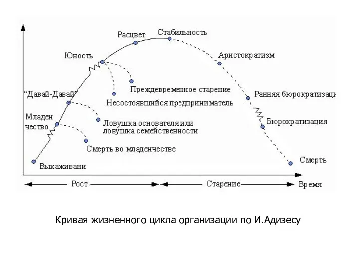 Кривая жизненного цикла организации по И.Адизесу