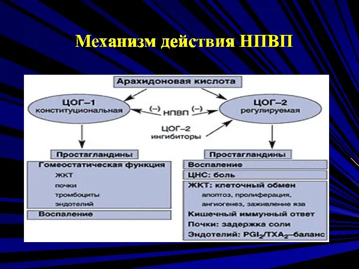 Механизм действия НПВП