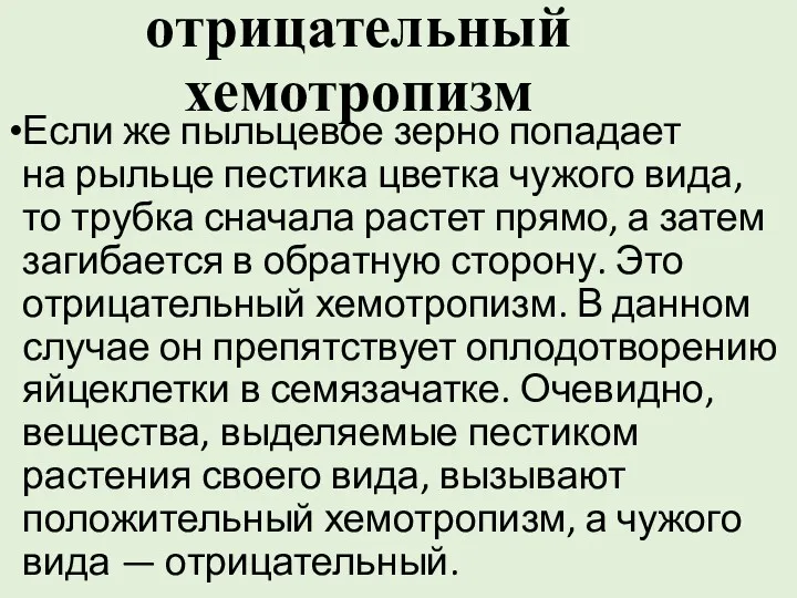 отрицательный хемотропизм Если же пыльцевое зерно попадает на рыльце пестика