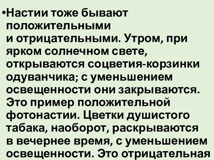 Настии тоже бывают положительными и отрицательными. Утром, при ярком солнечном