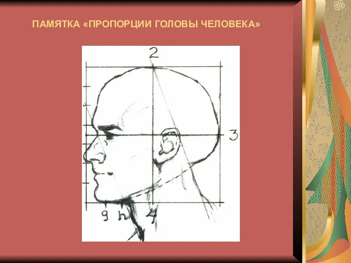 ПАМЯТКА «ПРОПОРЦИИ ГОЛОВЫ ЧЕЛОВЕКА»