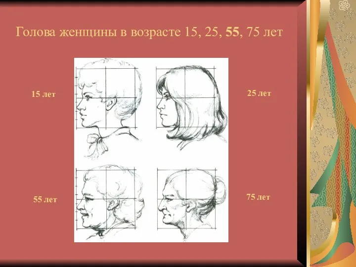 Голова женщины в возрасте 15, 25, 55, 75 лет 15