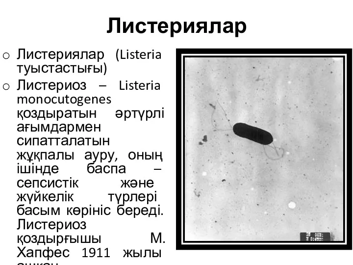 Листериялар Листериялар (Listeria туыстастығы) Листериоз – Listeria monocutogenes қоздыратын әртүрлі