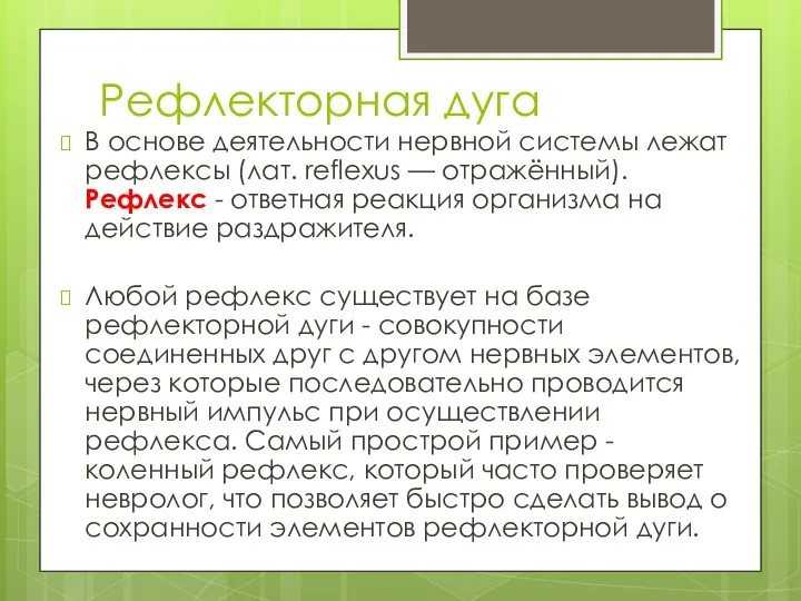 Рефлекторная дуга В основе деятельности нервной системы лежат рефлексы (лат.