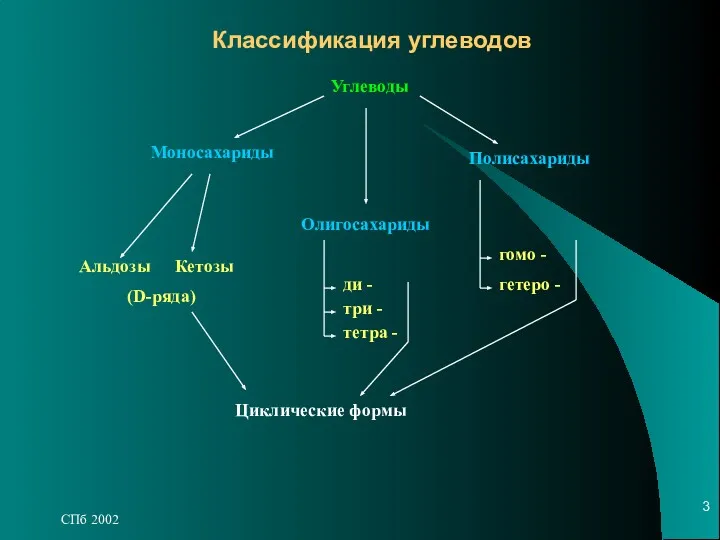 СПб 2002 Классификация углеводов Углеводы Моносахариды Полисахариды Олигосахариды Альдозы Кетозы