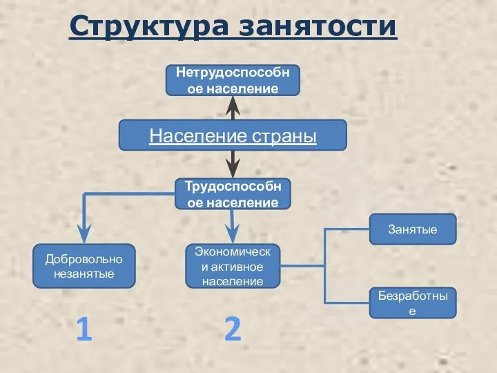 Структура занятости Население страны Добровольно незанятые Трудоспособное население Экономически активное