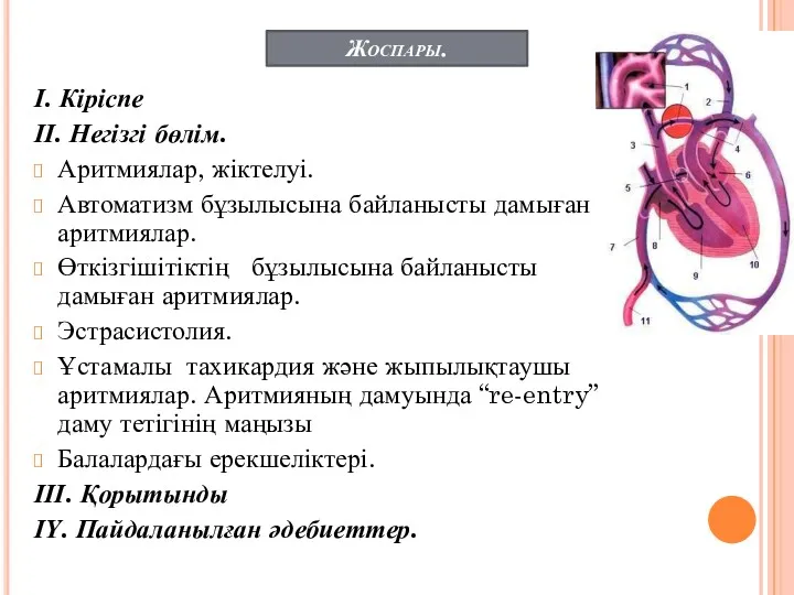 Жоспары. І. Кіріспе ІІ. Негізгі бөлім. Аритмиялар, жіктелуі. Автоматизм бұзылысына