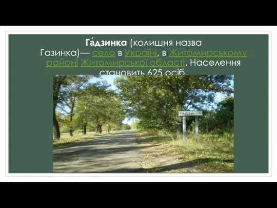 Га́дзинка (колишня назва Газинка)— село в Україні, в Житомирському районі Житомирської області. Населення становить 625 осіб.