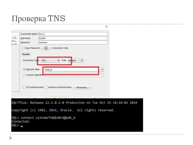 Проверка TNS