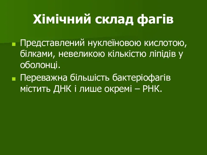 Хімічний склад фагів Представлений нуклеїновою кислотою, білками, невеликою кількістю ліпідів