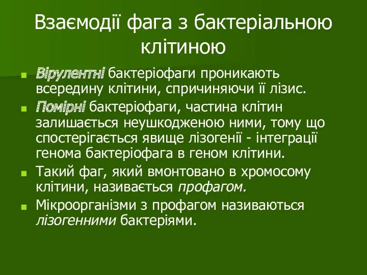 Взаємодії фага з бактеріальною клітиною Вірулентні бактеріофаги проникають всередину клітини,