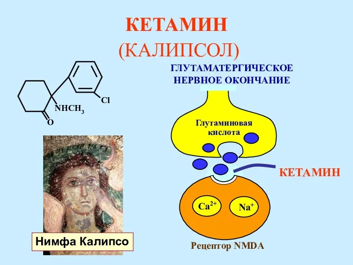КЕТАМИН (КАЛИПСОЛ) КЕТАМИН Глутаминовая кислота Ca2+ Na+ ГЛУТАМАТЕРГИЧЕСКОЕ НЕРВНОЕ ОКОНЧАНИЕ Рецептор NMDA Нимфа Калипсо